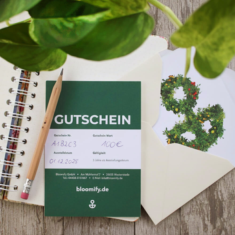 Bloomify-Gutschein (per Post)