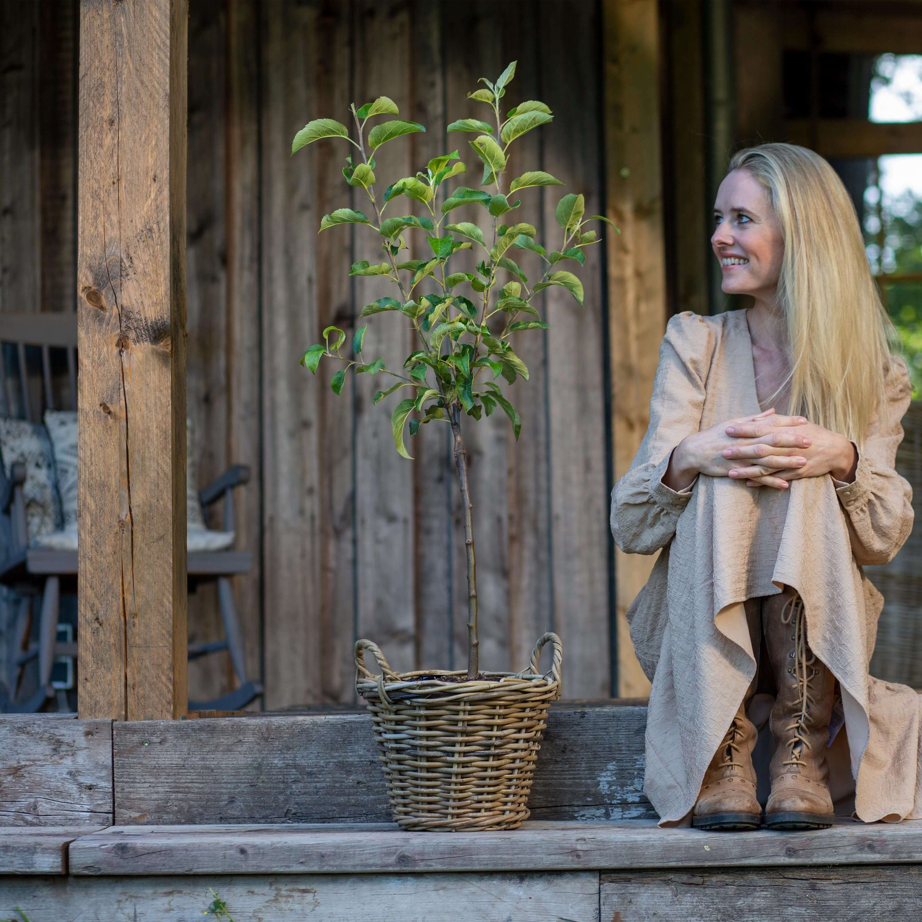 Apfel Boskoop "Anton" (Bio)