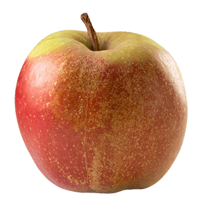 Säulenapfel "Sigfried" (Bio)