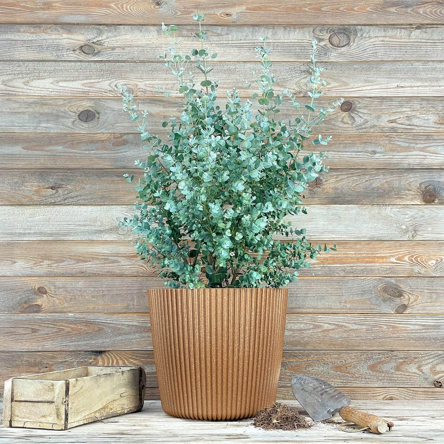 Übertopf aus Holzfasern (25 cm)