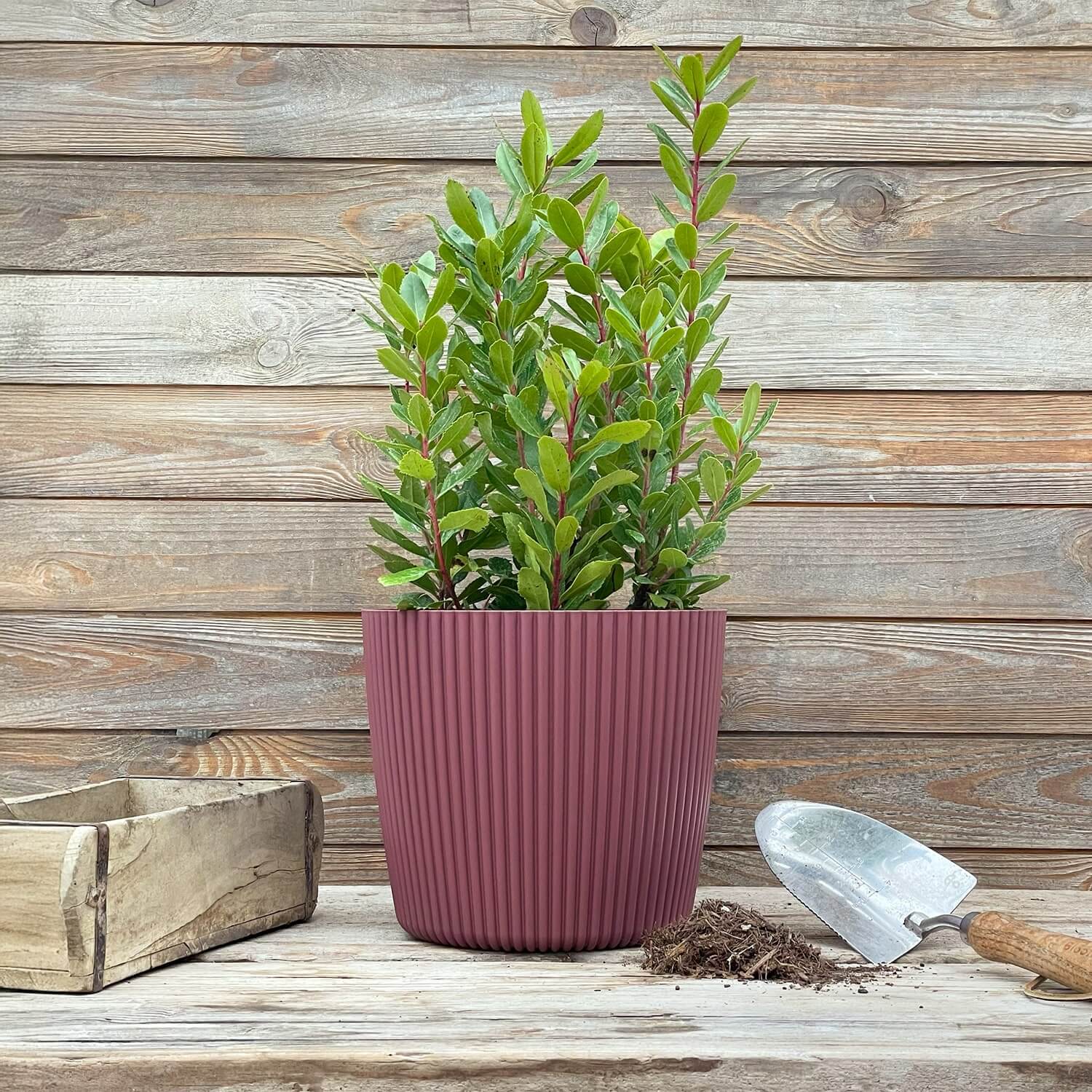 Übertopf Marsala (25 cm)