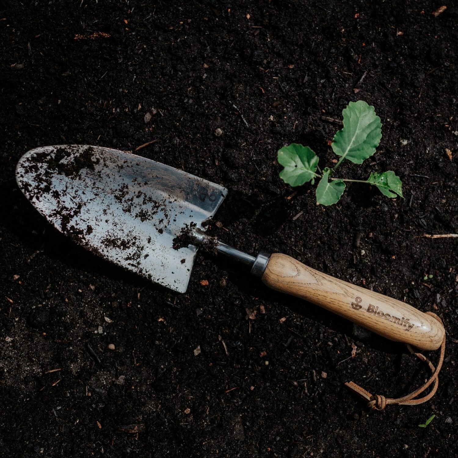 Pflanzenerde torffrei bio "Universal" (10 L)