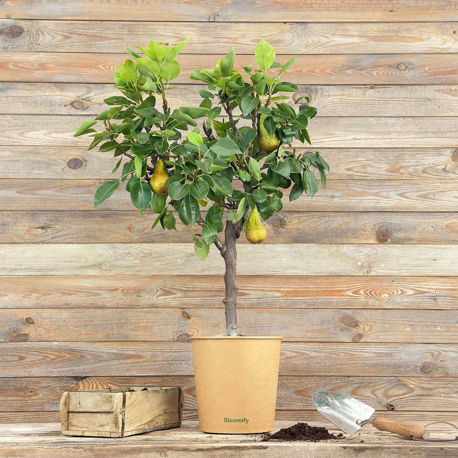 Balkon-Birne "Bigi" (Bio)