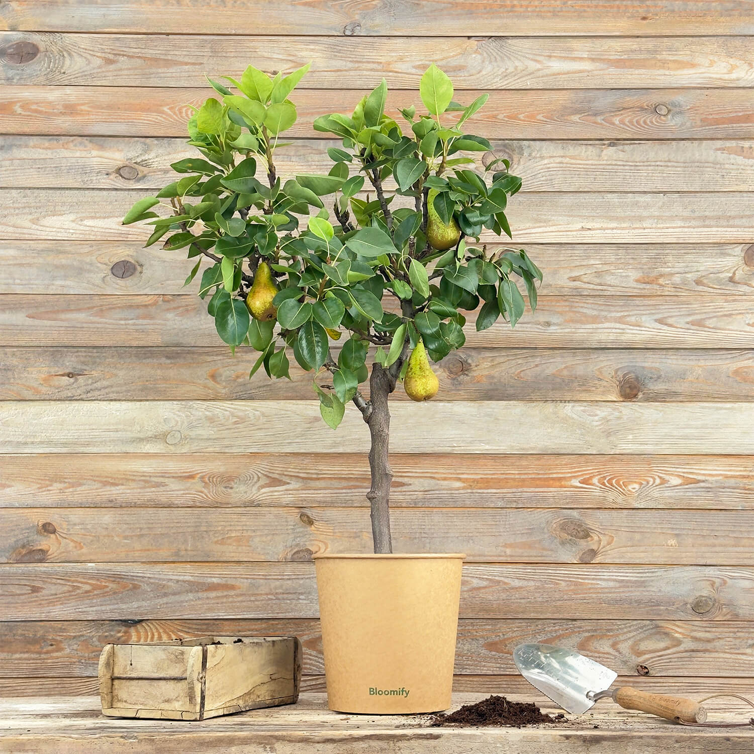 Balkon-Birne "Bigi" (Bio)