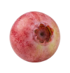 Blaubeere pink "Bruno"