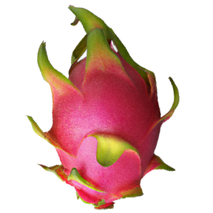 Drachenfrucht (Pitaya) rot "Drago"