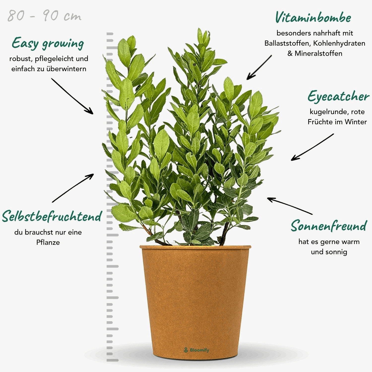 Erdbeerbaum "Eva"