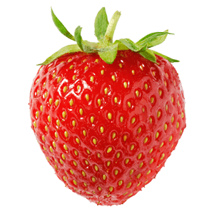 Balkon-Erdbeere "Enno"