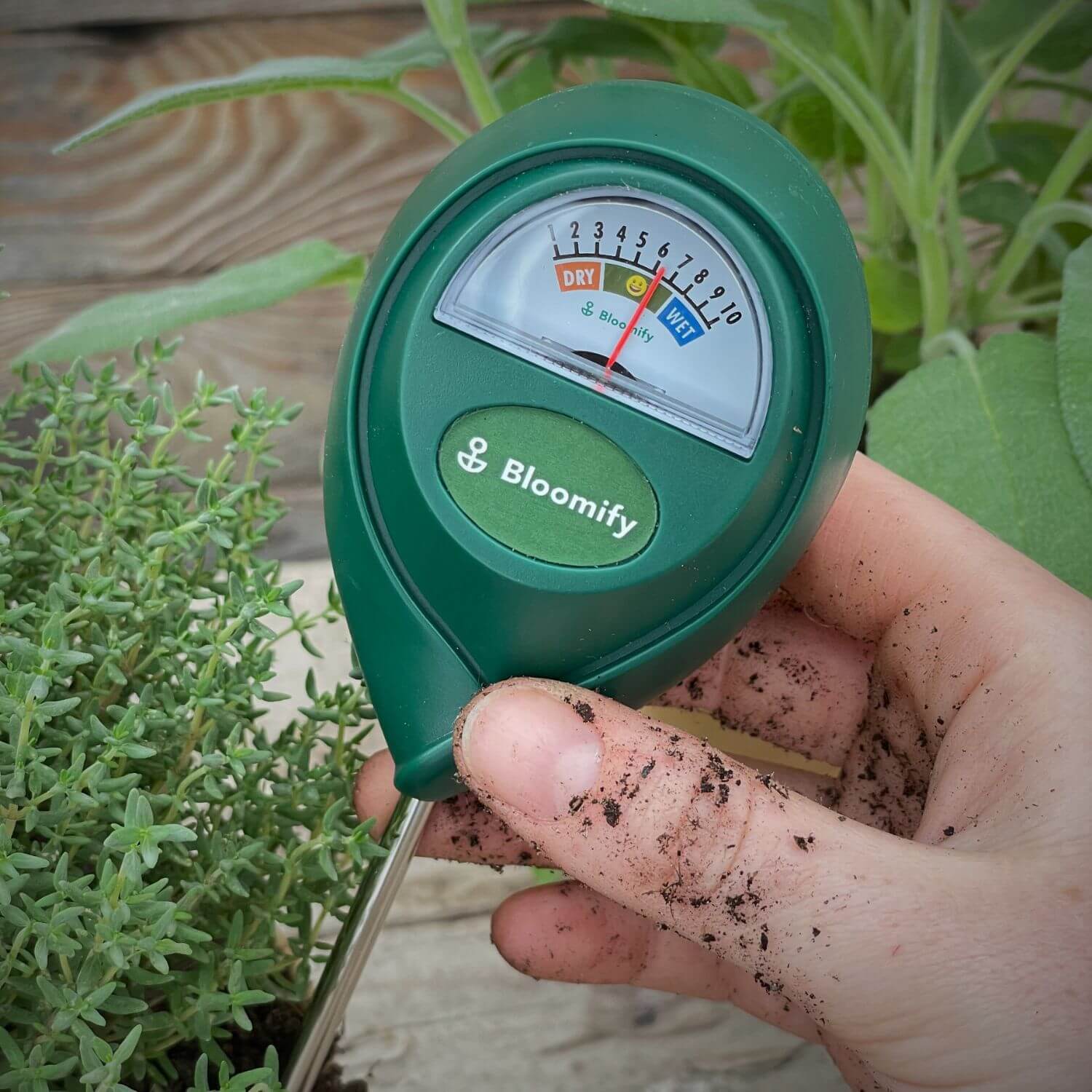 Feuchtigkeitsmesser "Für Topf & Garten"