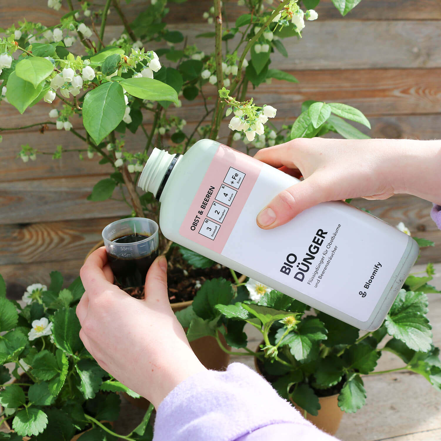 Bio Flüssigdünger "Obst & Beeren"