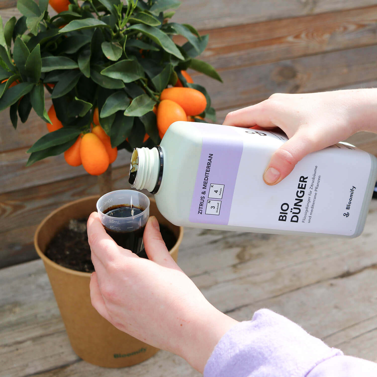 Bio Flüssigdünger "Zitrus & Mediterran"
