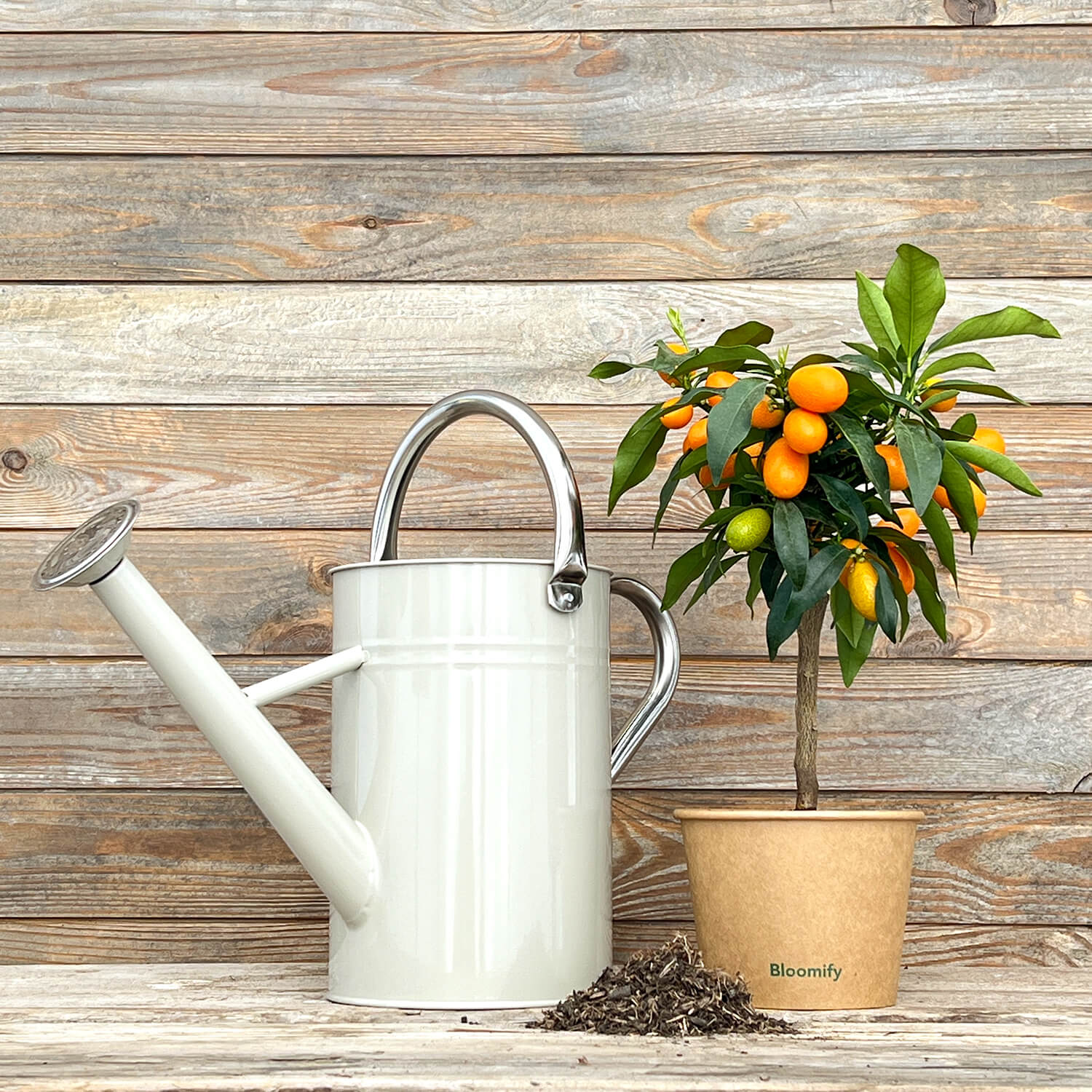 Gießkanne beige (4,5 L)