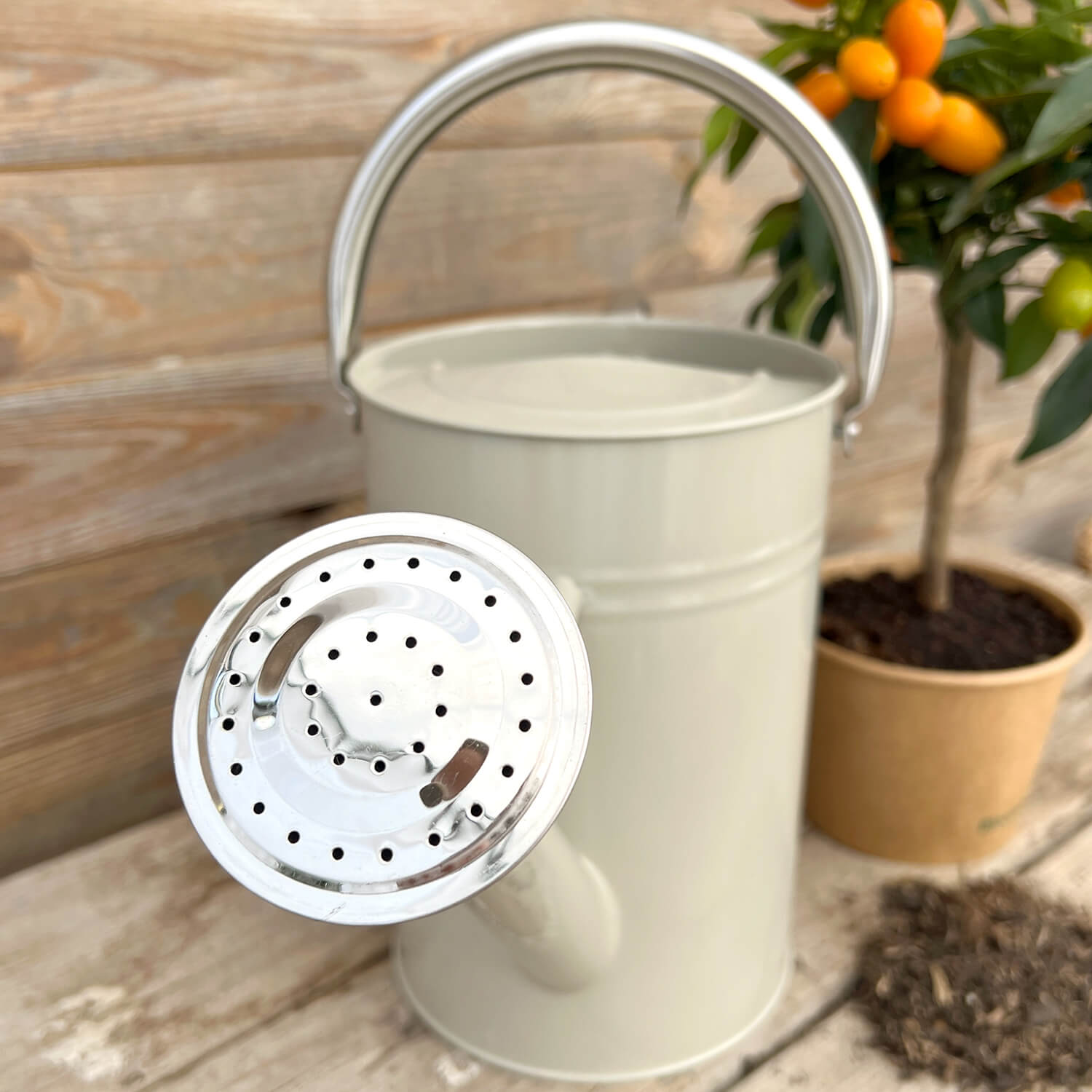 Gießkanne beige (4,5 L)