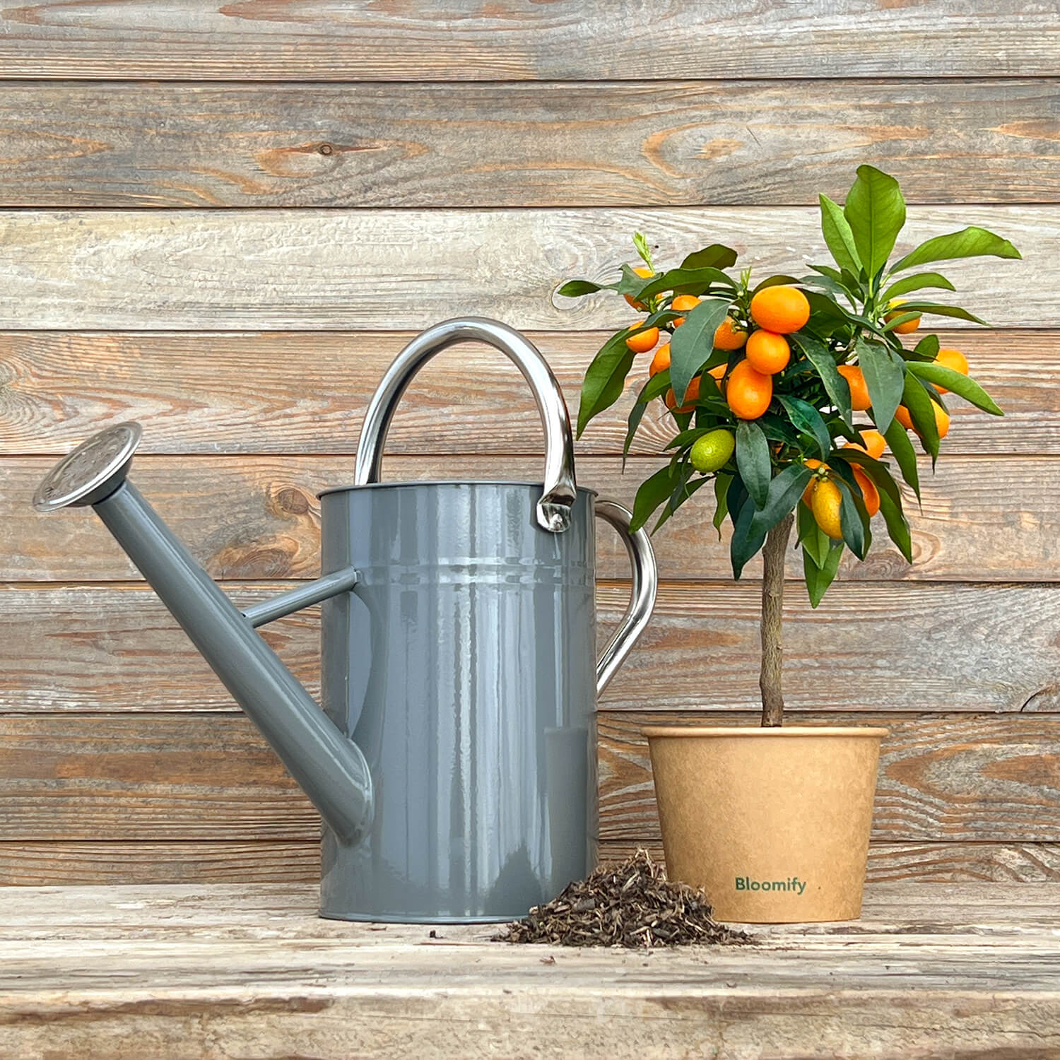 Gießkanne grau (4,5 L)