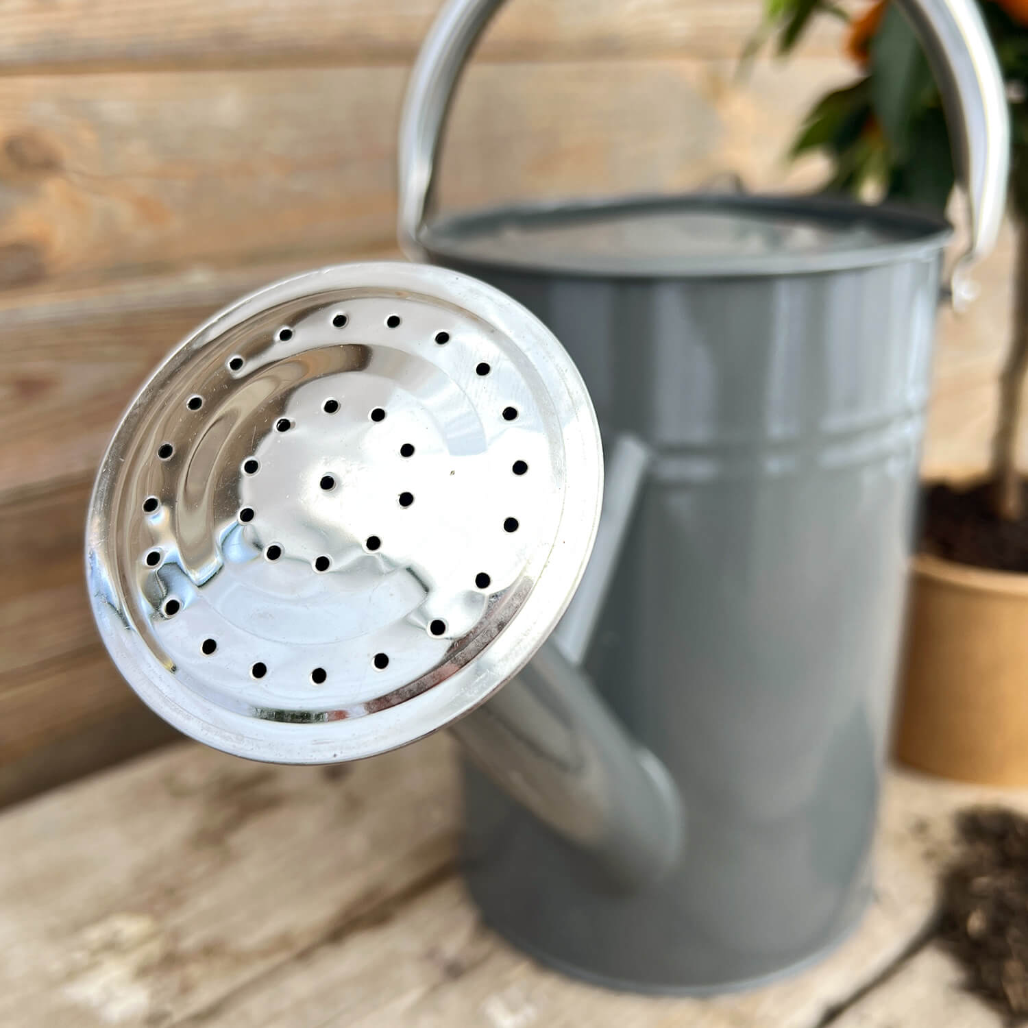 Gießkanne grau (4,5 L)