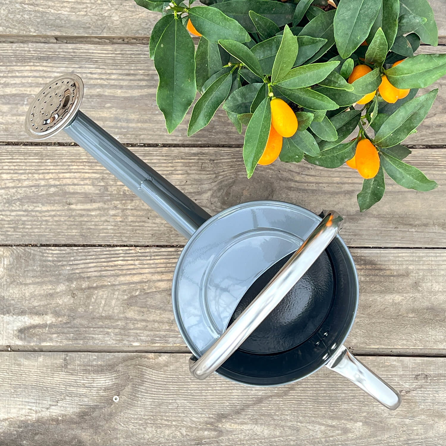 Gießkanne grau (4,5 L)