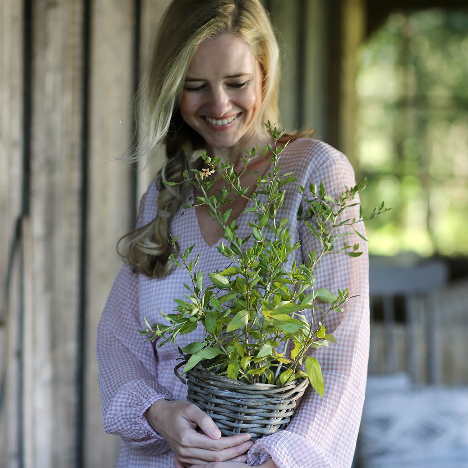 Goji-Beere "Günther" (Bio)