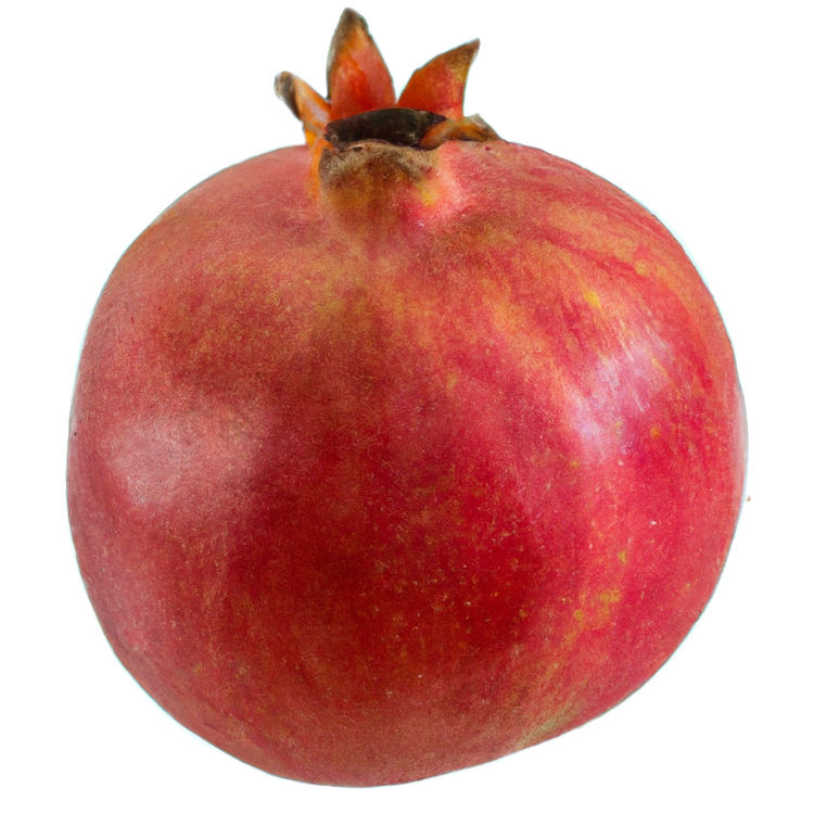 Granatapfel "Grace"