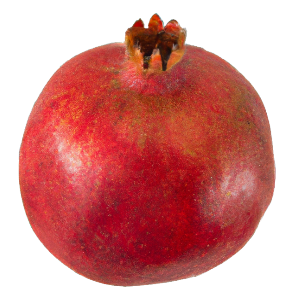 Granatapfelbaum "Gregor"