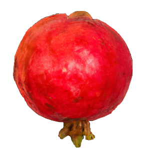 Erdbeer-Guave "Gulliver"