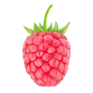 2x Balkon-Himbeere "Heidi" (Bio)