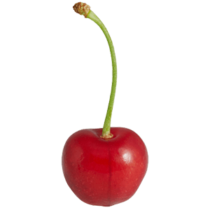 Sauerkirsche "Karl" (Bio)