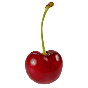 Balkon-Süßkirsche "Karla" (Bio)