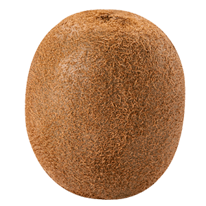 Kiwi "Knut" (Bio)