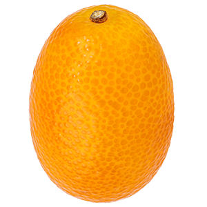 Kumquat "Kasimir"