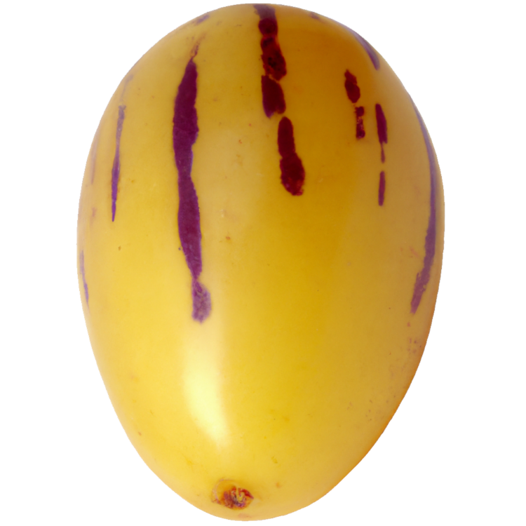 Melonenbirne "Melanie"