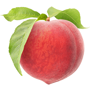 Balkon-Pfirsich "Paul"