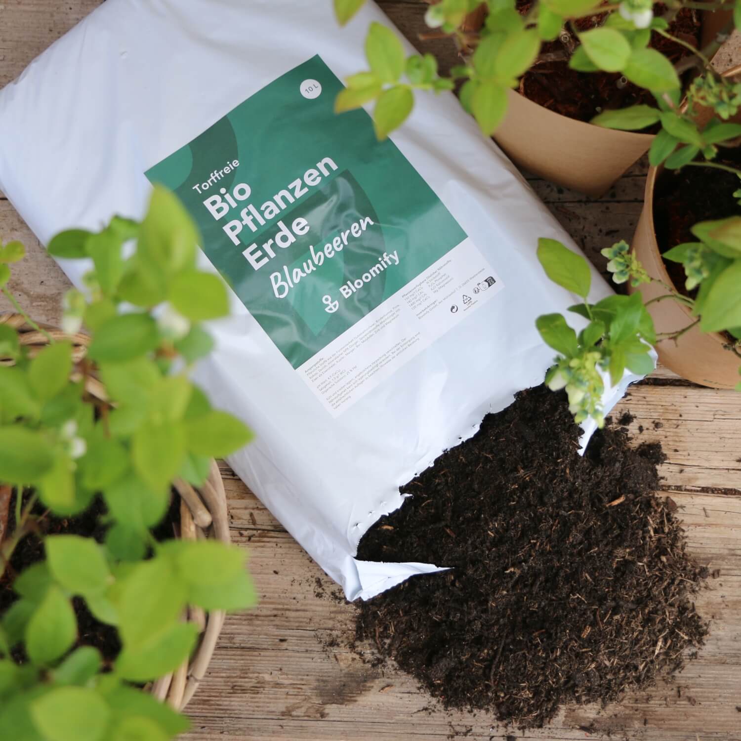Pflanzenerde torffrei bio "Blaubeeren" (10 L)