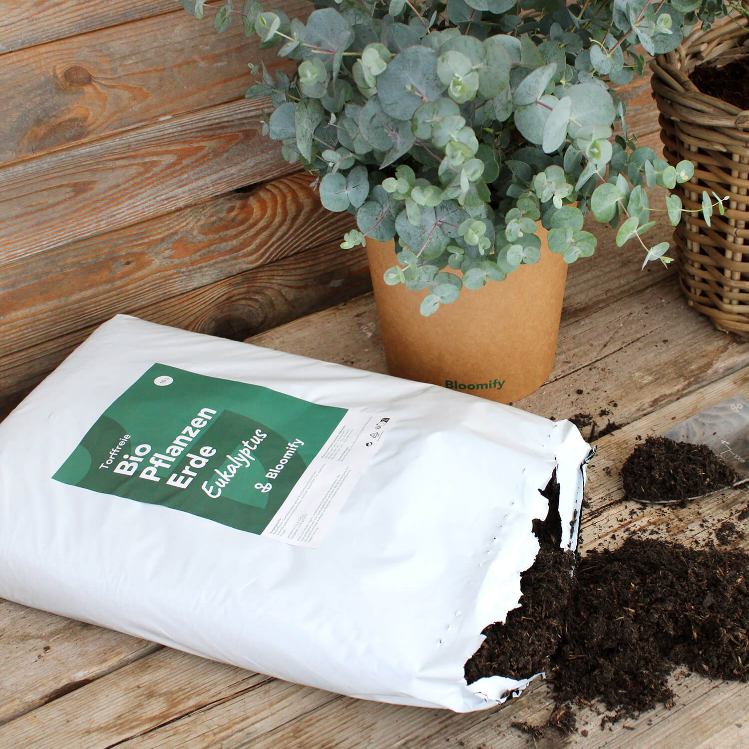 Pflanzenerde torffrei bio "Eukalyptus" (10 L)