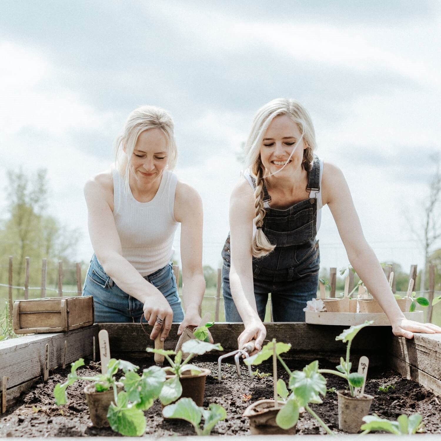 Pflanzenerde torffrei bio "Kräuter & Gemüse" (10 L)