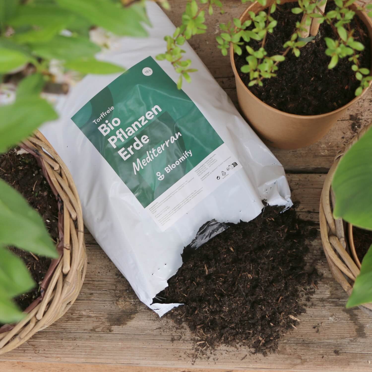 Pflanzenerde torffrei bio "Mediterran" (10 L)