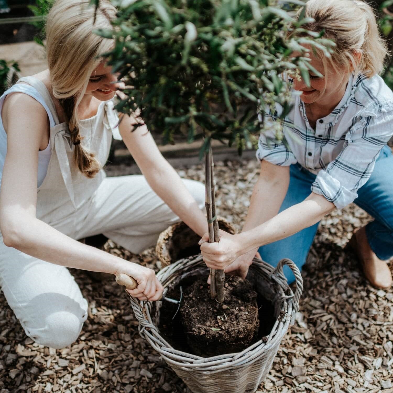 Pflanzenerde torffrei bio "Mediterran" (10 L)