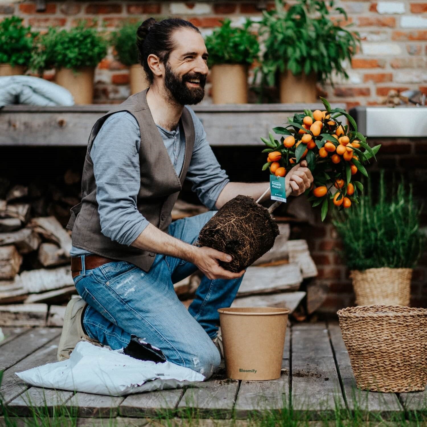 Pflanzenerde torffrei bio "Zitrus" (10 L)
