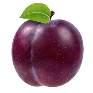 Pflaume "Paula" (Bio)