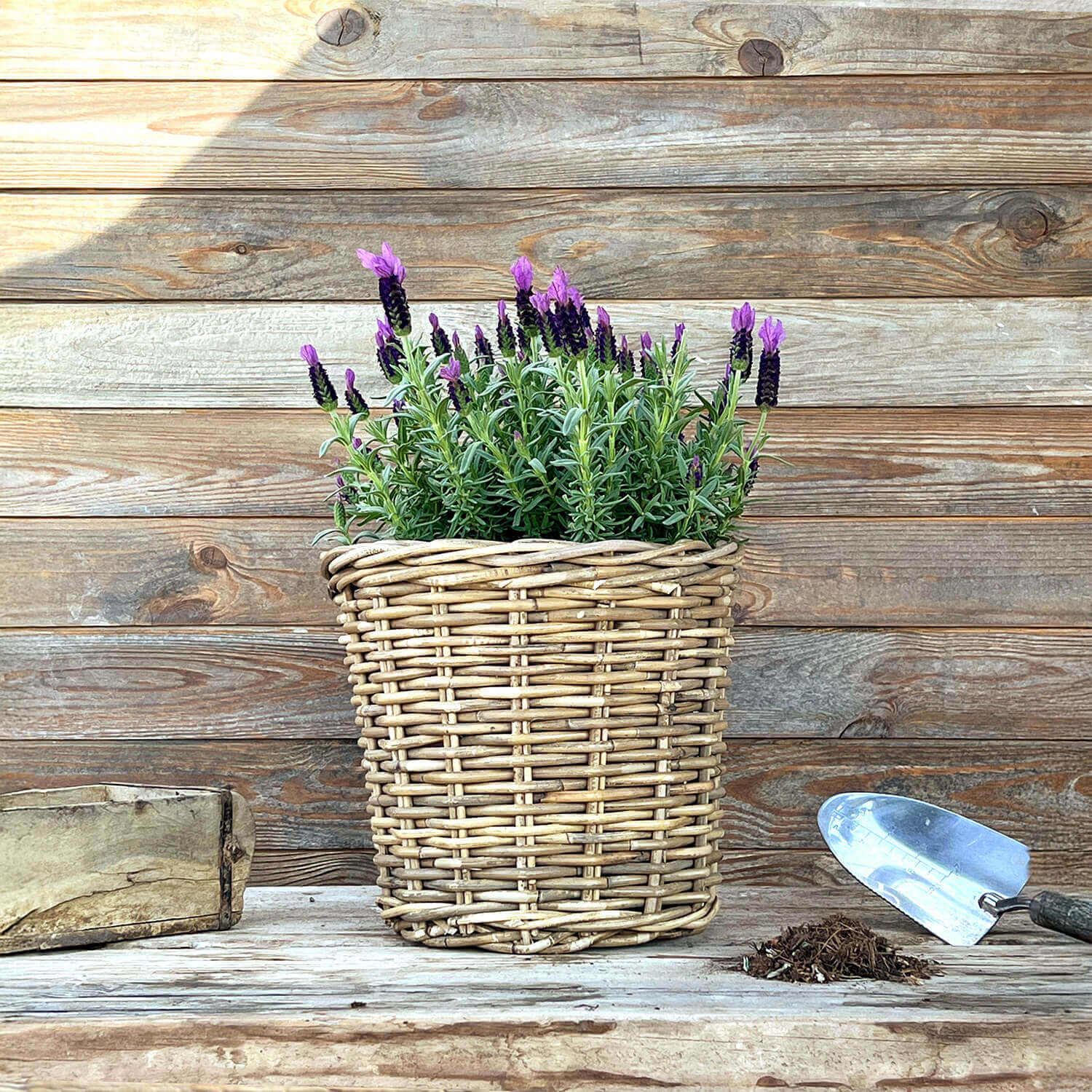 Übertopf aus Rattan (25 cm)