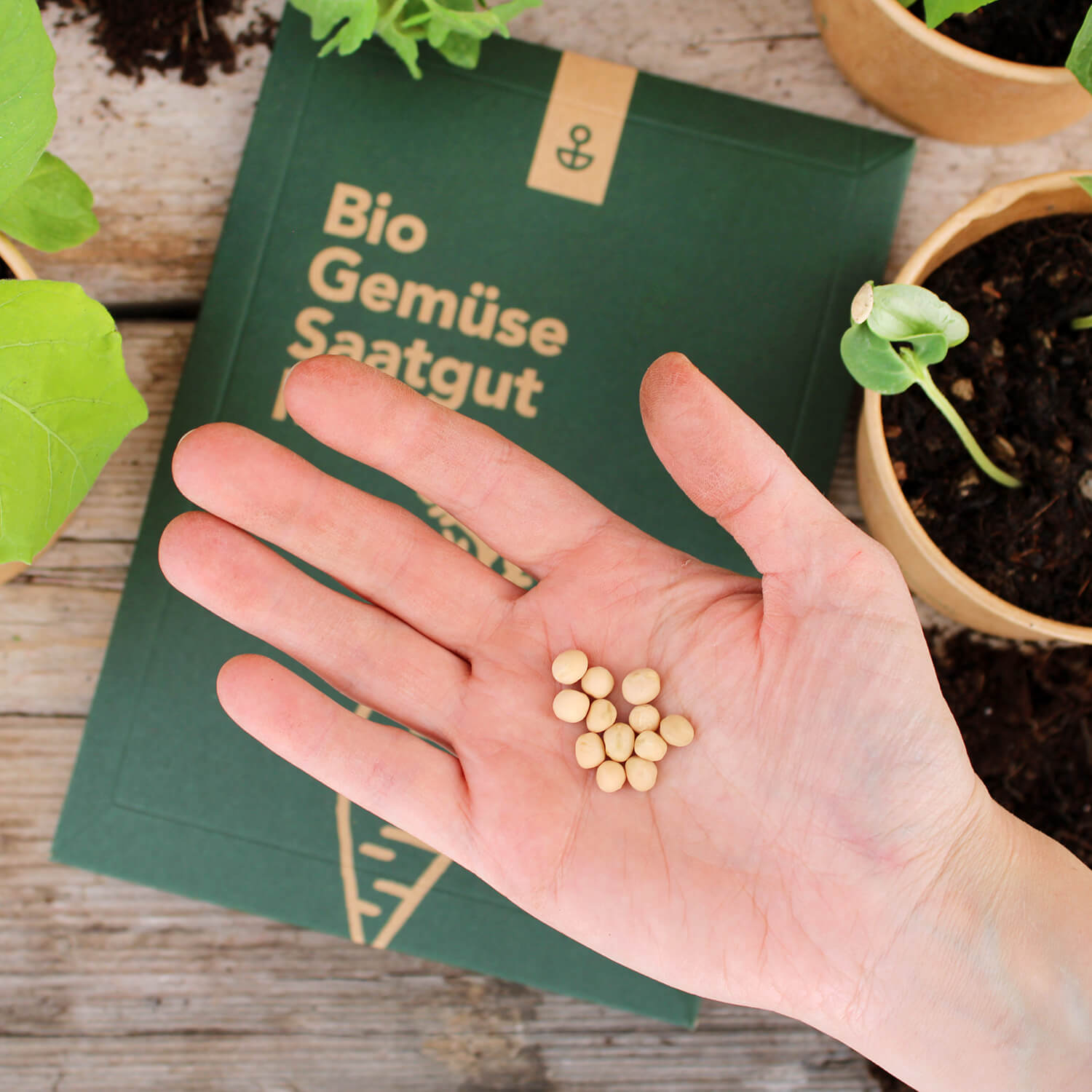 Saatgut Mix "Gemüse" (Bio)