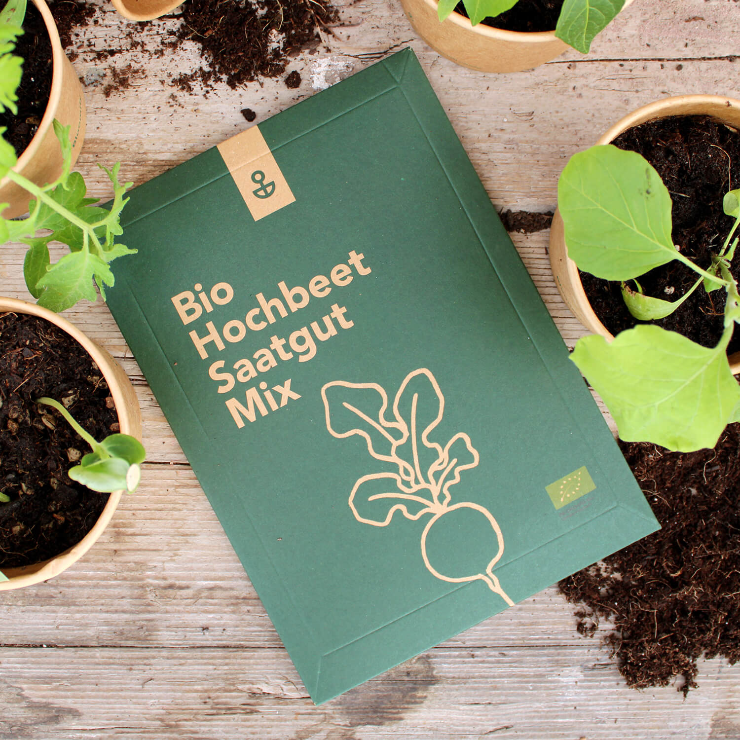 Saatgut Mix "Hochbeet" (Bio)