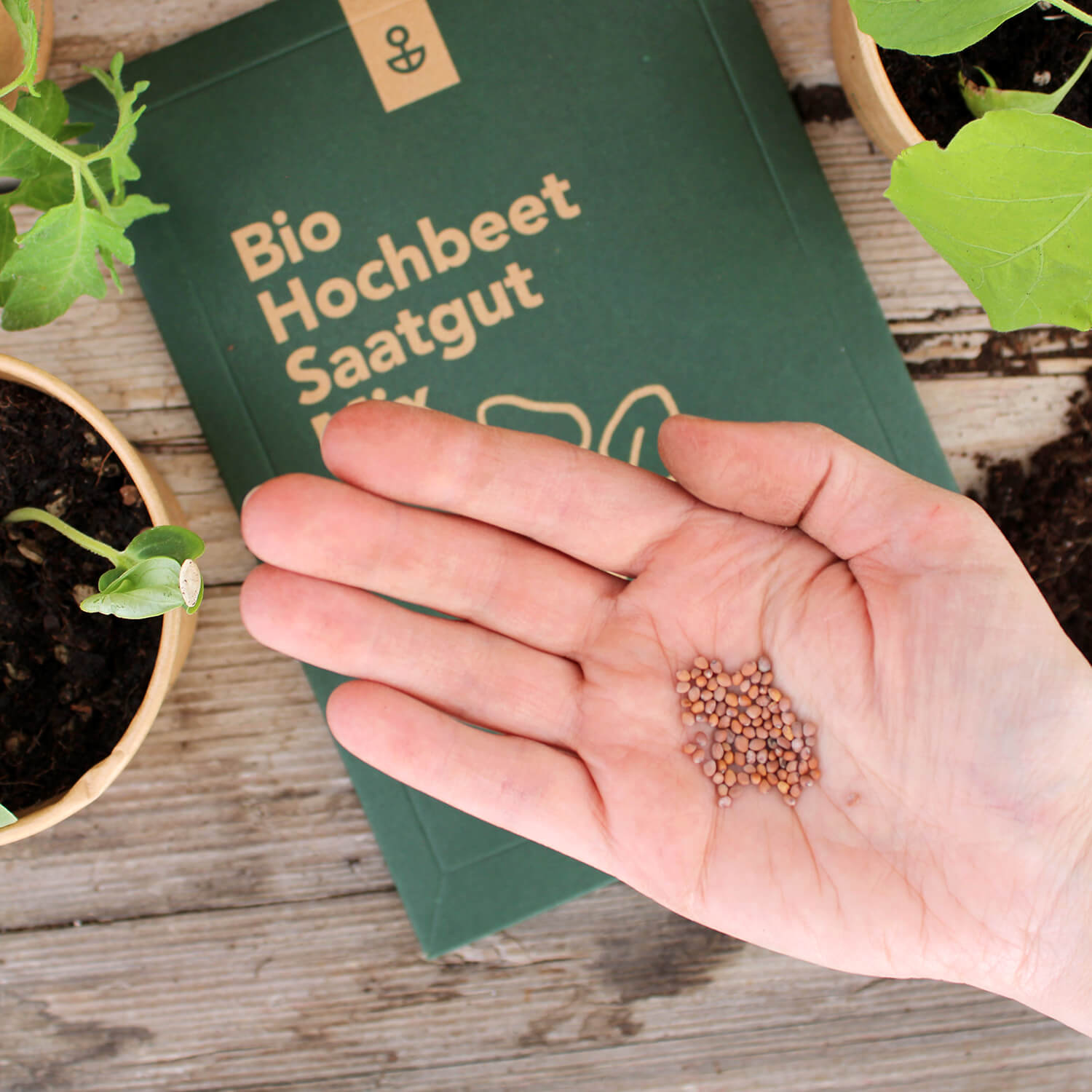 Saatgut Mix "Hochbeet" (Bio)