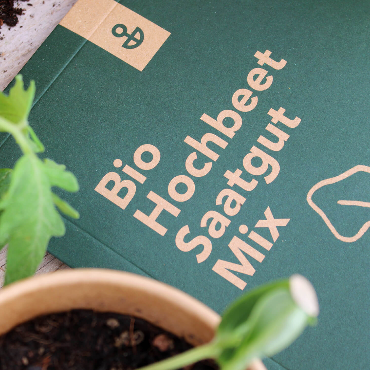 Saatgut Mix "Hochbeet" (Bio)