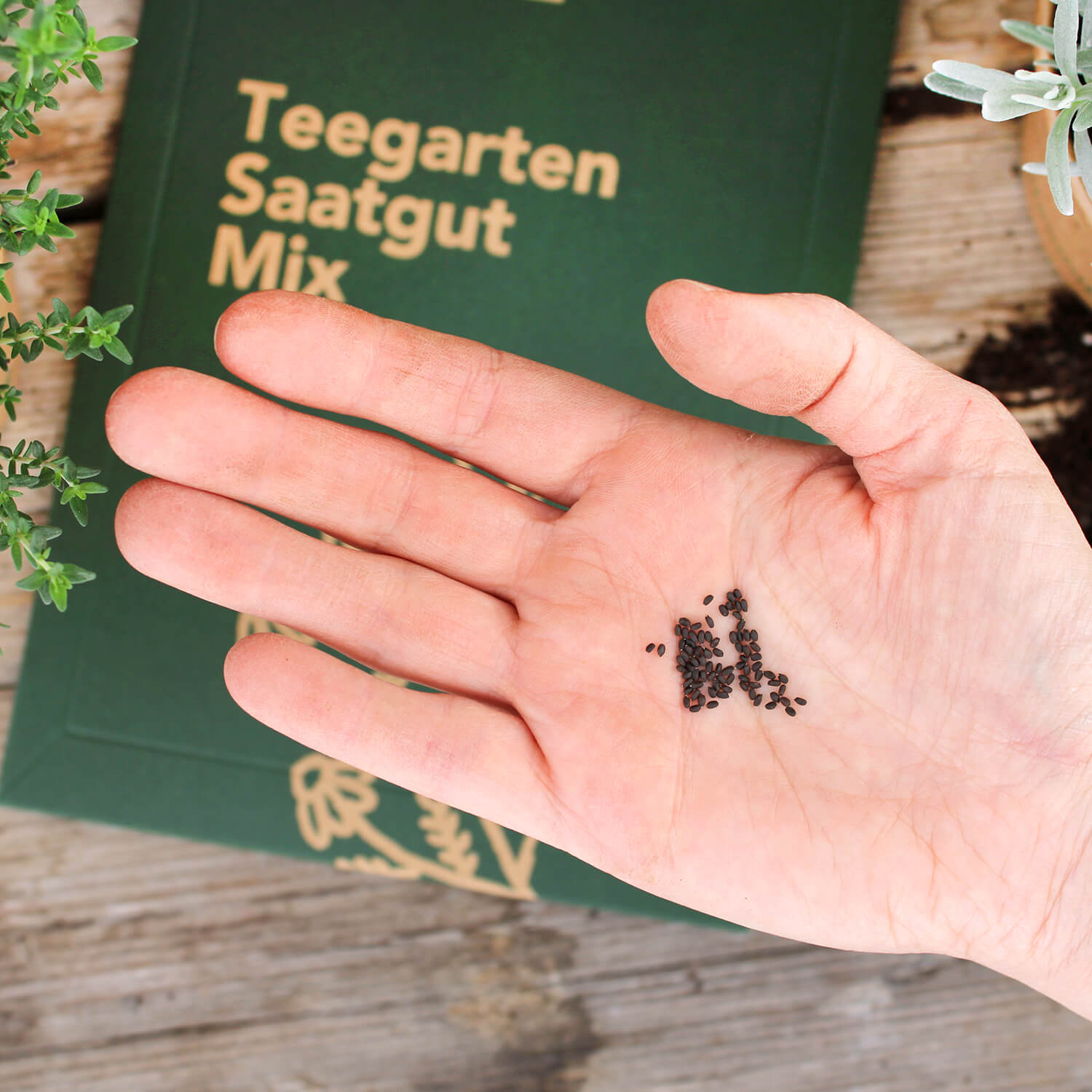 Saatgut Mix "Teegarten"