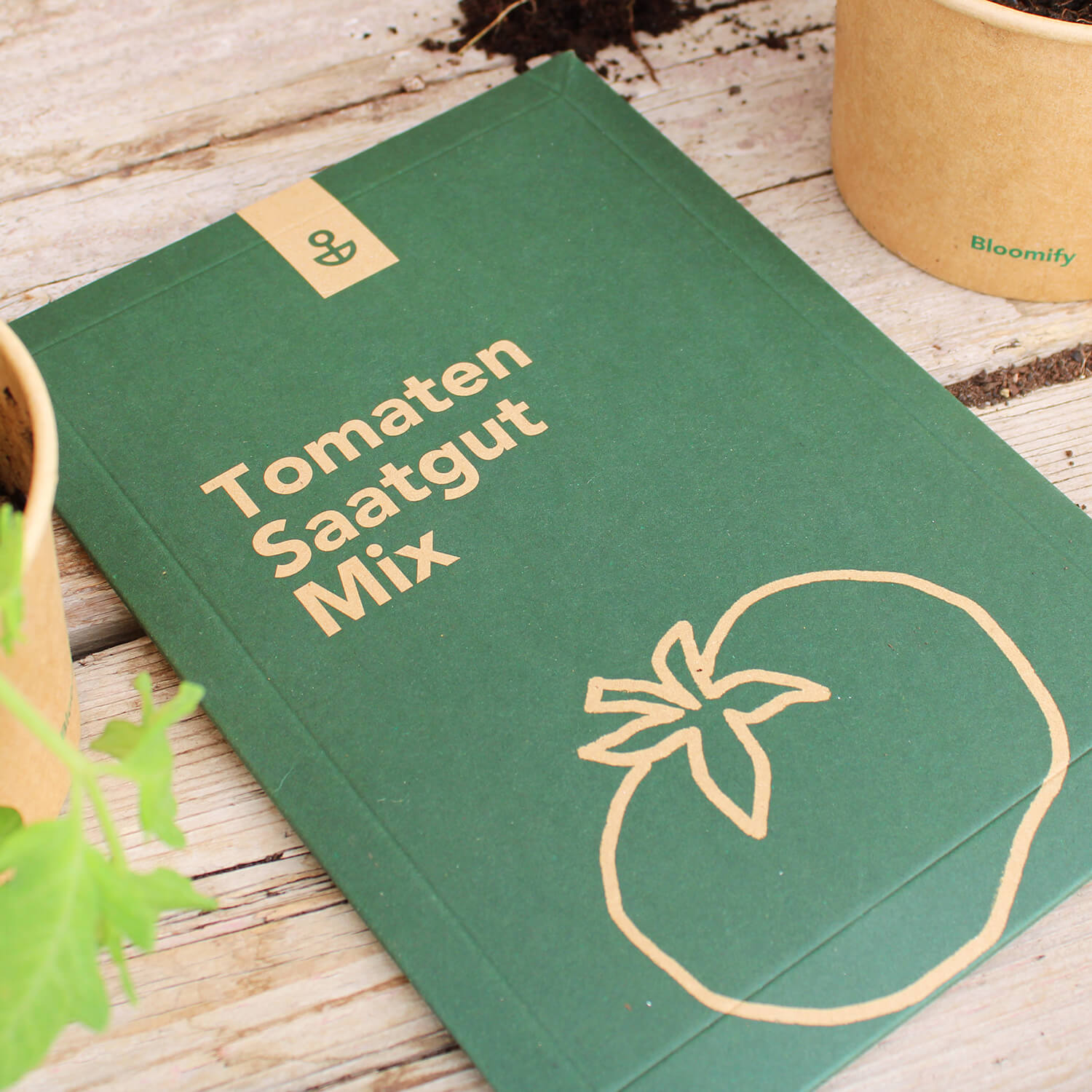 Saatgut Mix "Tomaten"