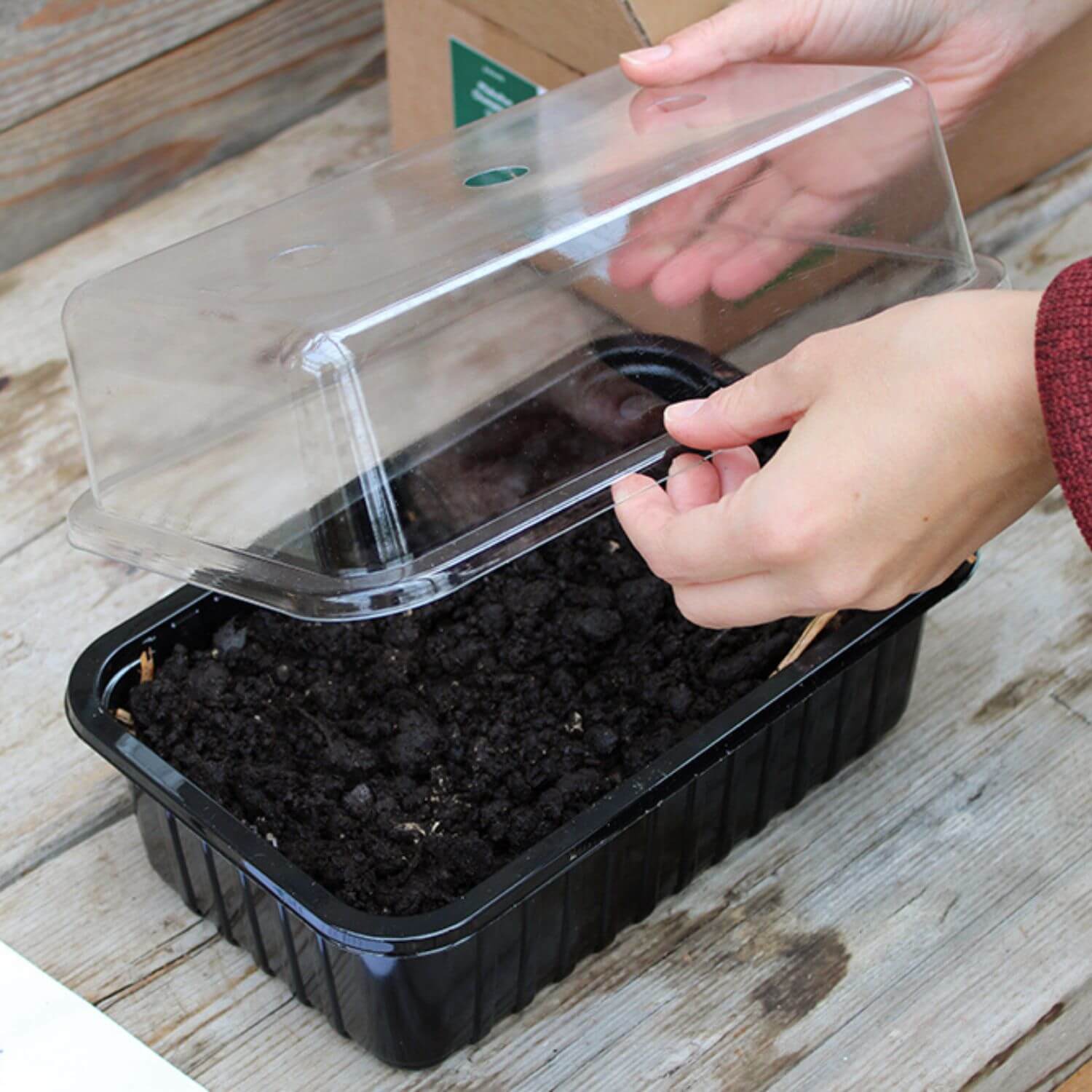 Pilzzuchtset "Steinchampignons"