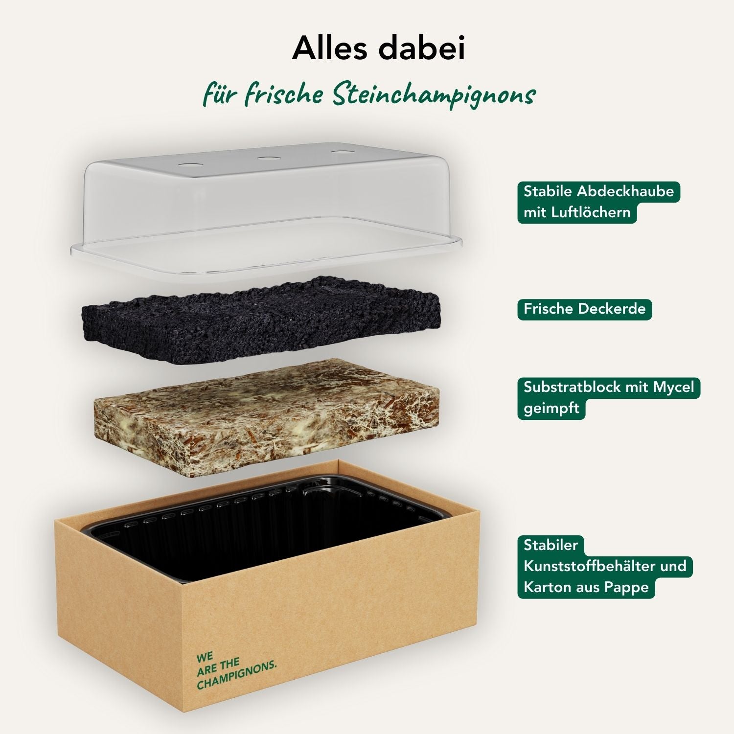 Pilzzuchtset "Steinchampignons"