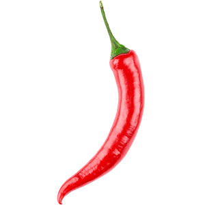 Thai Chili "Thorsten"