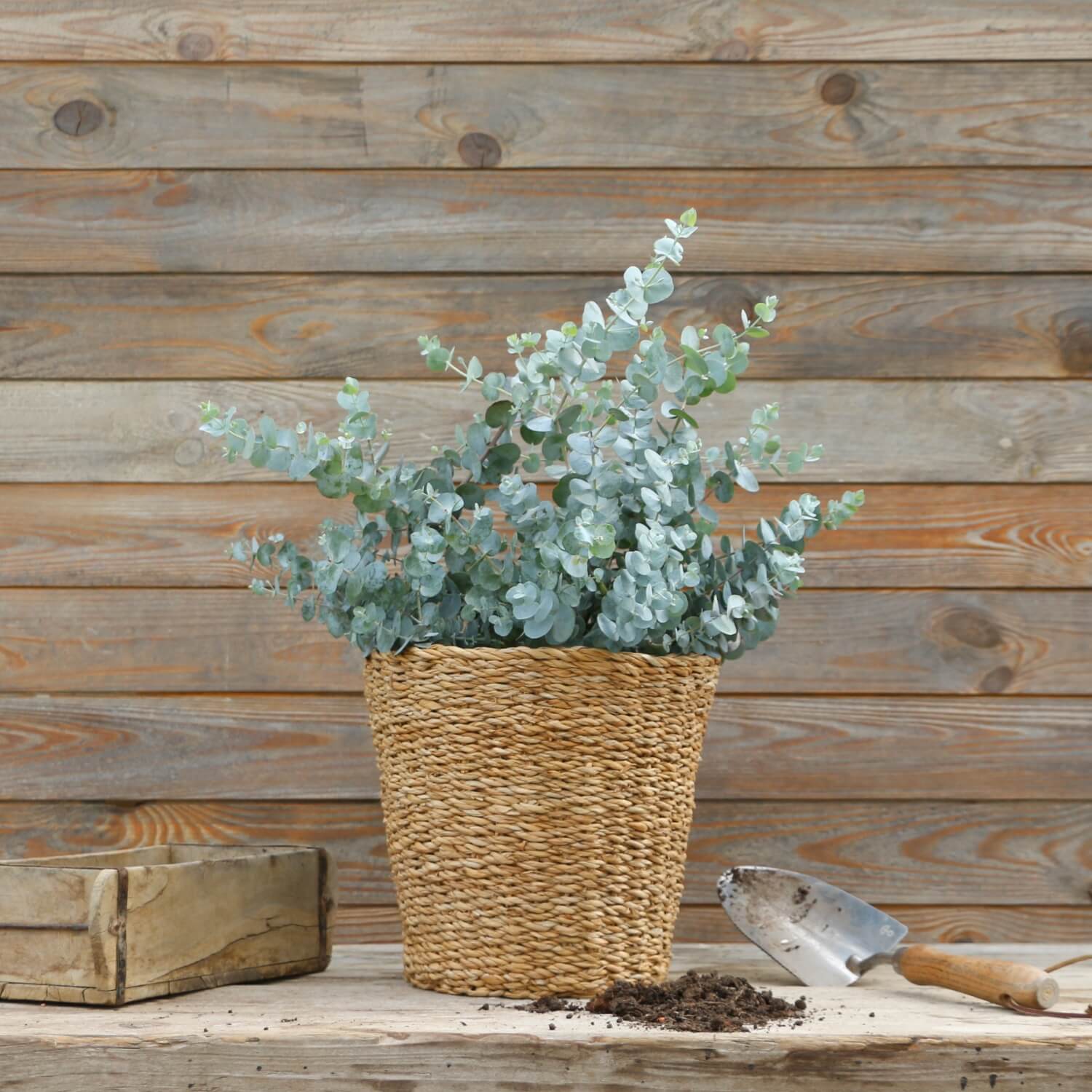 Übertopf aus Seegras (25 cm)