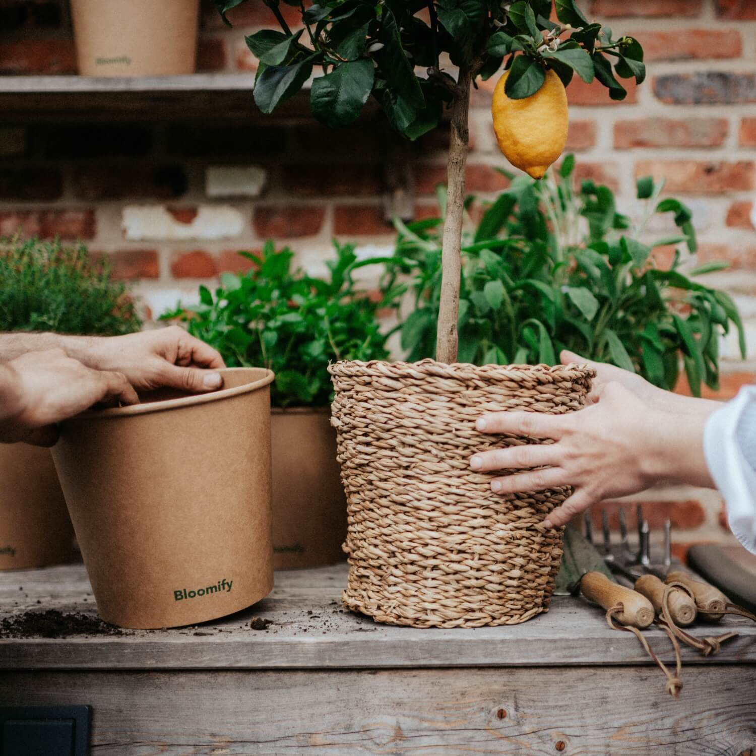Übertopf aus Seegras (25 cm)